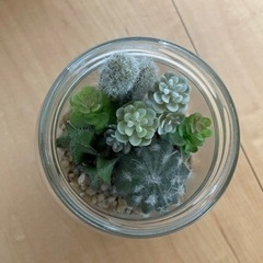 多肉植物（造花）インテリアの画像