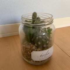 多肉植物（造花）インテリア