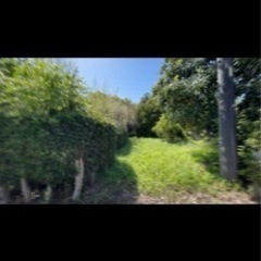 浜松市北区細江の農地