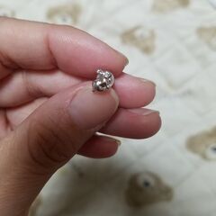 うさぎ ピアスの画像