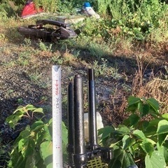 リトルカブ3の画像