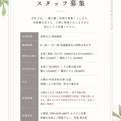 型枠大工/型枠解体スタップ大募集！！