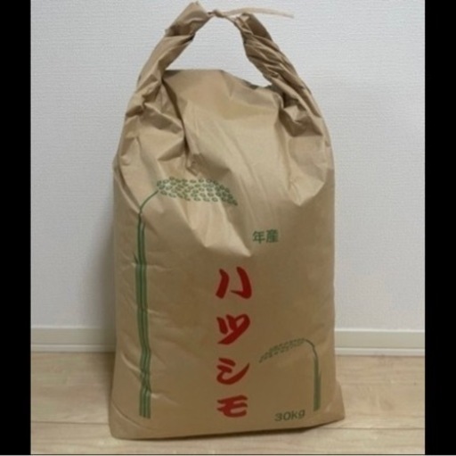 ★引取先決定★令和4年度産　岐阜県ハツシモ　玄米30キロ