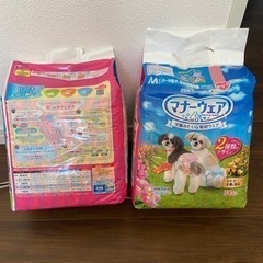 未開封マナーウェアMサイズ　2個セット