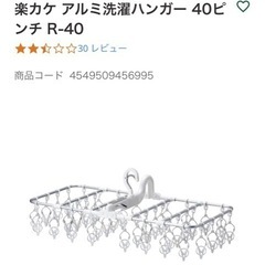 2個セット　カインズ　楽カケ アルミ　洗濯　ハンガー 40ピンチ...