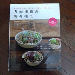 ②多肉植物の寄植え