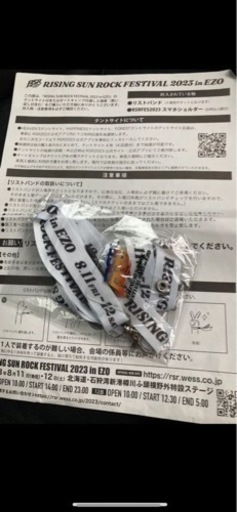 ライジングサンロックフェスティバル2023通し券2名分