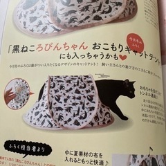 猫ちゃんオモチャとテント未開封の画像