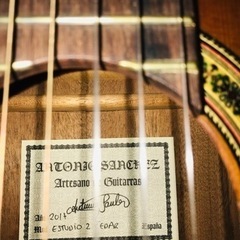 Antonio Sanchez Estudio-2 杉 ／セミハードケース付