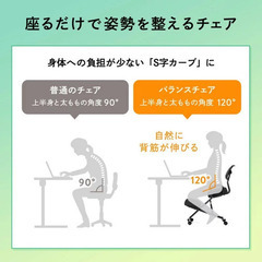 早い者勝ち一万円超腰痛対策バランスチェア（EEX-CHB01）の画像