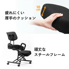 早い者勝ち一万円超腰痛対策バランスチェア（EEX-CHB01）の画像