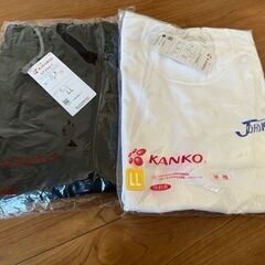 城北中学校体操服　半袖シャツ短パン　ＬL サイズ