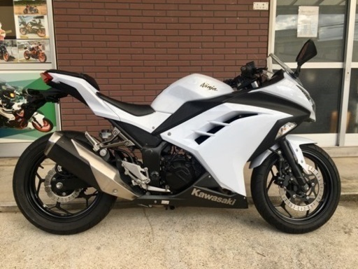 Ninja250 19895km セル1発始動