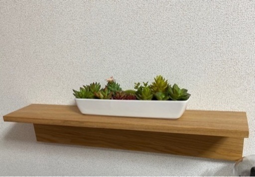 【交渉中】ニトリの飾り棚と多肉寄せ植えセット
