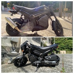 インドホンダ　NAVI110    【AT限定で乗れちゃいます！】の画像