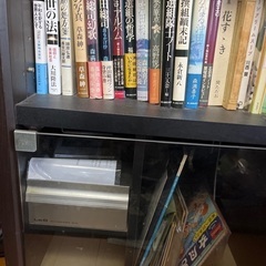 カラーボックス2点　コンポ・本・レコード込みの画像