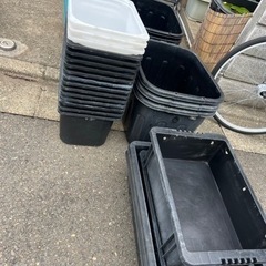メダカ飼育容器
