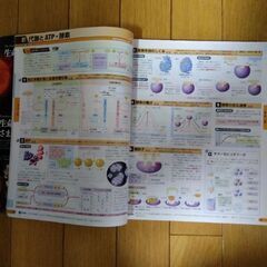 最新図説生物　neoの画像