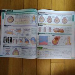 最新図説生物　neoの画像