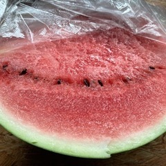 あげます🍉甘くないスイカ