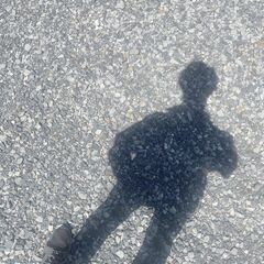 30分程度の散歩に付き合っていただける方募集しています。