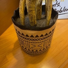 オシャレ観葉植物（フェイク）の画像