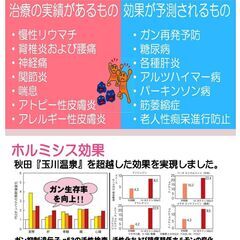 秋田玉川温泉岩盤浴スペックのホルミシス生育光線マット体験 - 船橋市