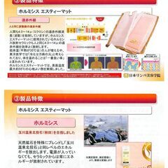 秋田玉川温泉岩盤浴スペックのホルミシス生育光線マット体験 - ボディケア