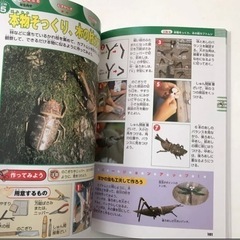 学研の小学生の自由研究 : まとめ方がよくわかる! の画像