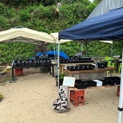 メダカ販売のお知らせ８月13日日曜日