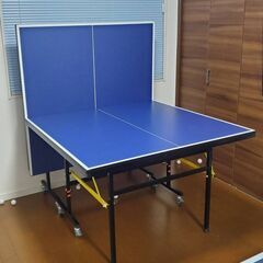 【受付終了】ティゴラ 卓球台 家庭用サイズ【近隣ならお届けします！】