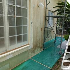 台風後の建物洗浄、草木倒木撤去、安くでやります！