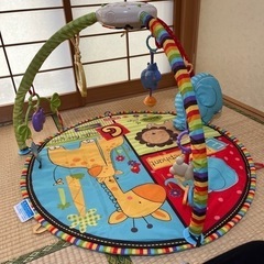 プレイマット(プレイジム)の画像