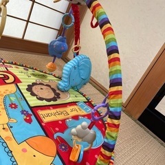プレイマット(プレイジム)の画像