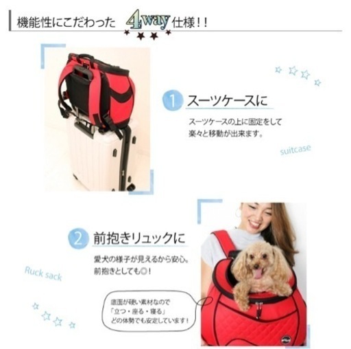 eMus リュックサックキャリー　黒