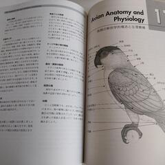 コンパニオンバード　完全ガイド【中古本】の画像