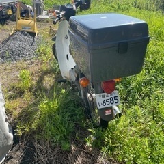 カブ50 エンジン良好の画像