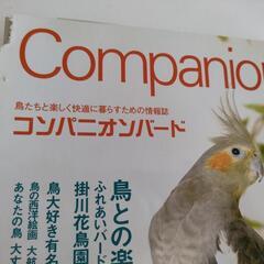 コンパニオンバード　No.01 2004年 初版の画像