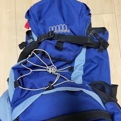 バートン バックパックの画像