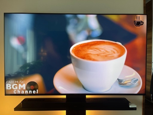 SONY ソニー BRAVIA ブラビア XRJ-65X90J