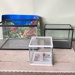 【お譲り先決定】お魚飼育セット　水槽３つ　ろ過装置etc.