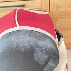 犬用キャリーバッグの画像