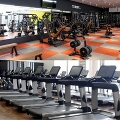 【FITEASY】⭐️合トレ仲間募集⭐️