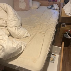 急募！取りに来てくれるひと限定！の画像