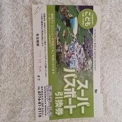 芝政ワールド　ス−パ−パスポート　１枚