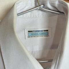 カッターシャツ？2枚無料の画像