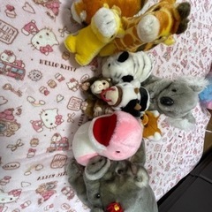 ぬいぐるみ　CUTE  美品