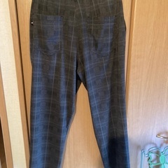 夏ズボンらしい