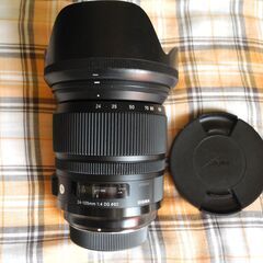 SIGMA　Art24-105mm F4 Nikon用　013の画像