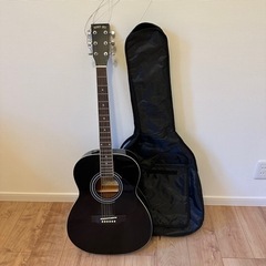 honeyBee ハニービー　アコースティックギター　F-15B...